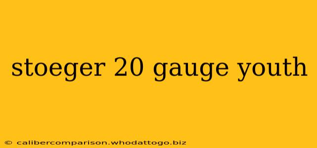 stoeger 20 gauge youth