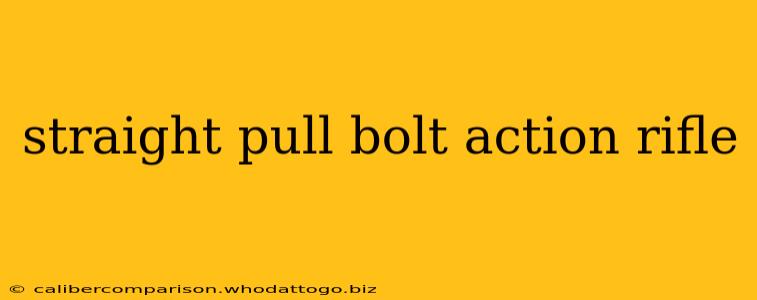 straight pull bolt action rifle