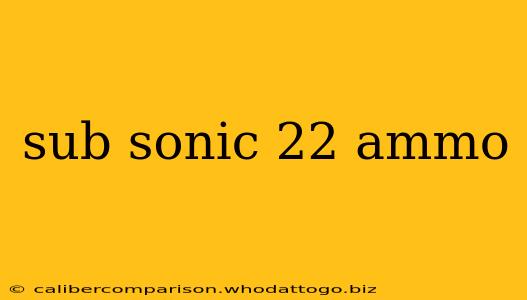 sub sonic 22 ammo