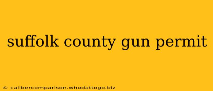 suffolk county gun permit