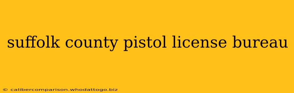 suffolk county pistol license bureau