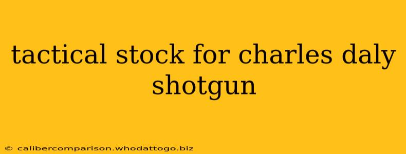 tactical stock for charles daly shotgun