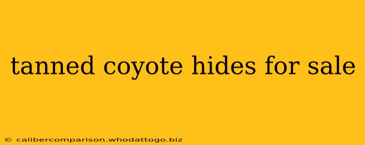 tanned coyote hides for sale