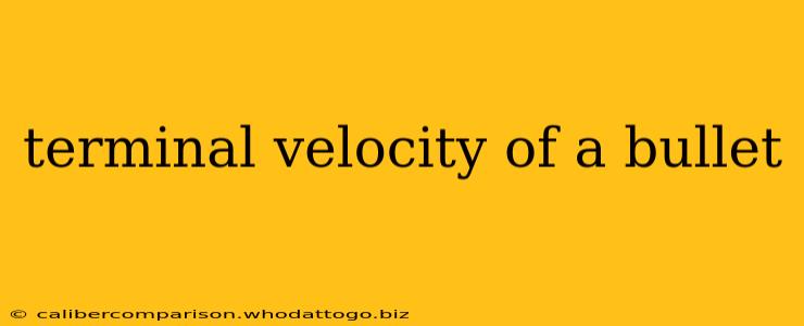 terminal velocity of a bullet