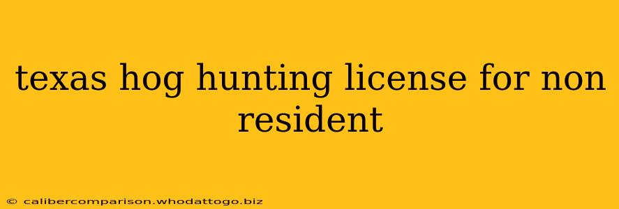 texas hog hunting license for non resident