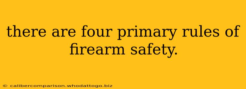 there are four primary rules of firearm safety.