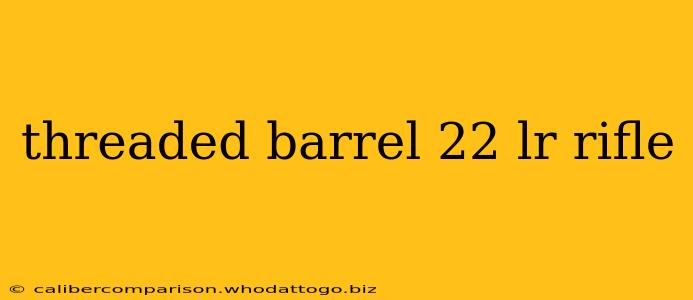 threaded barrel 22 lr rifle