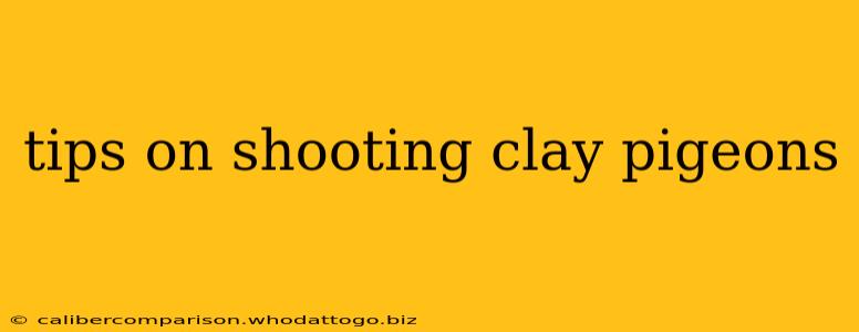 tips on shooting clay pigeons