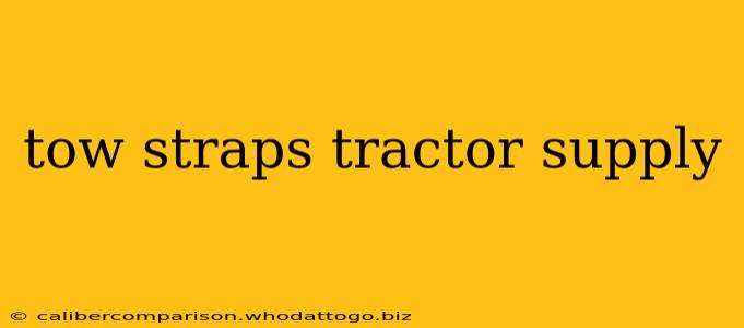 tow straps tractor supply