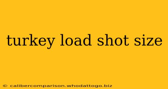 turkey load shot size