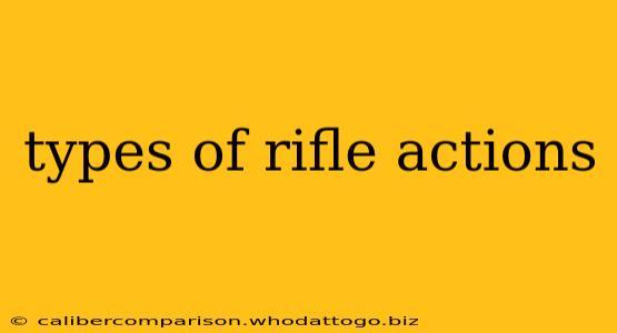 types of rifle actions