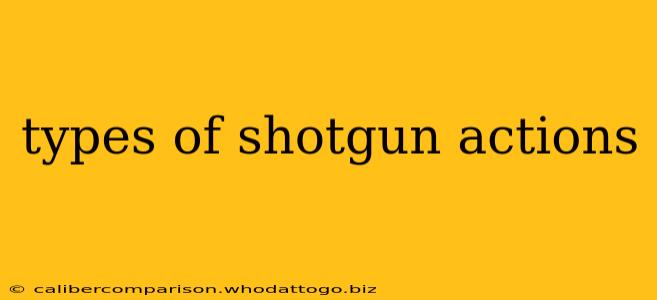 types of shotgun actions