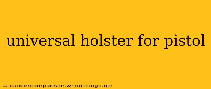 universal holster for pistol