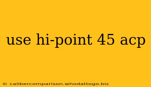 use hi-point 45 acp