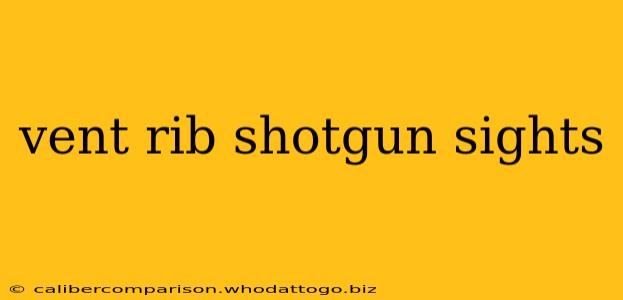 vent rib shotgun sights