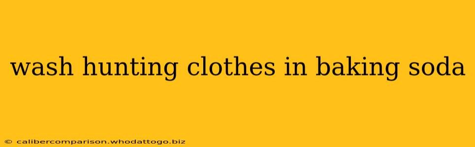 wash hunting clothes in baking soda