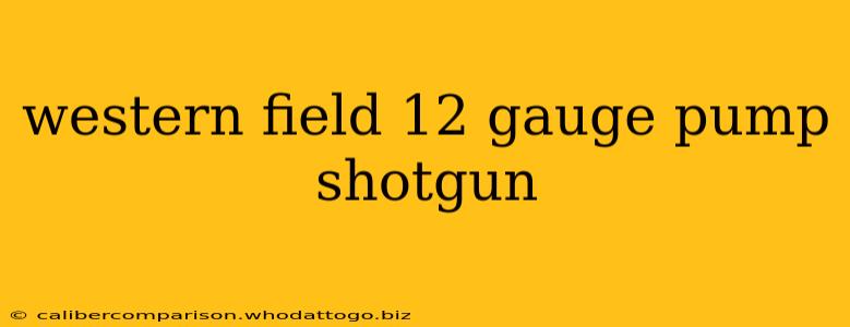 western field 12 gauge pump shotgun