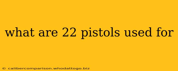 what are 22 pistols used for