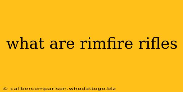 what are rimfire rifles