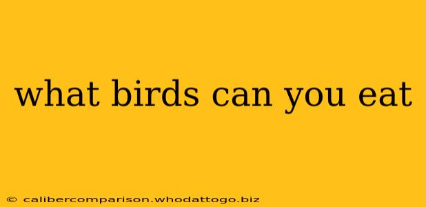 what birds can you eat