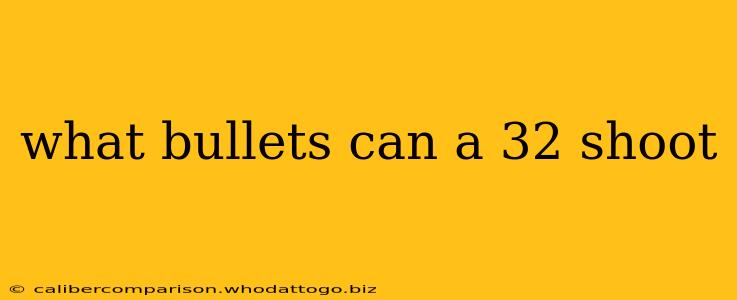 what bullets can a 32 shoot