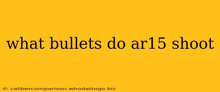 what bullets do ar15 shoot