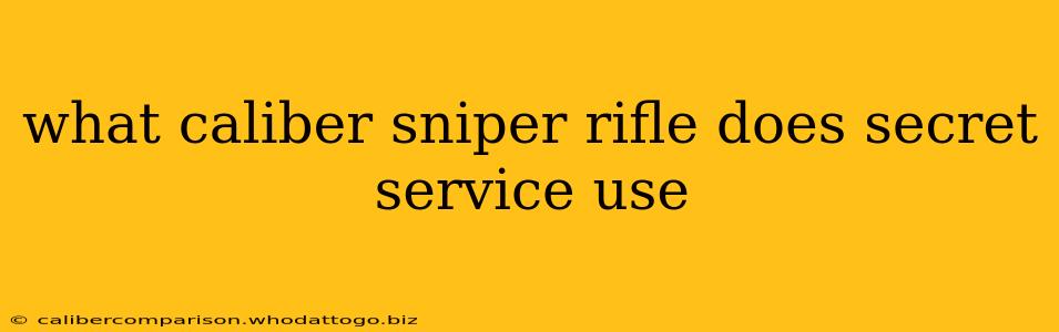 what caliber sniper rifle does secret service use