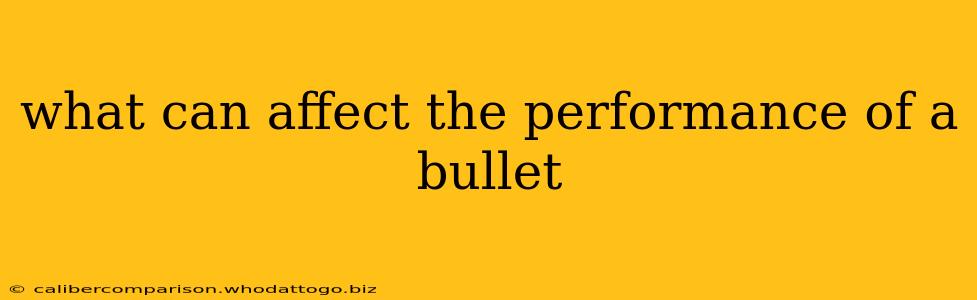 what can affect the performance of a bullet