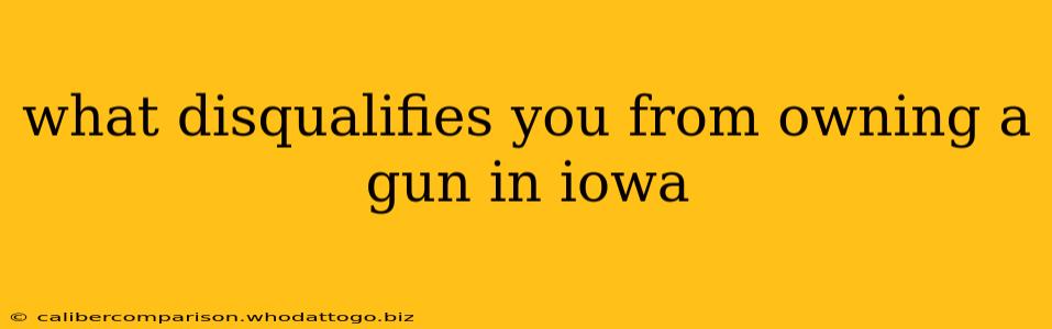 what disqualifies you from owning a gun in iowa