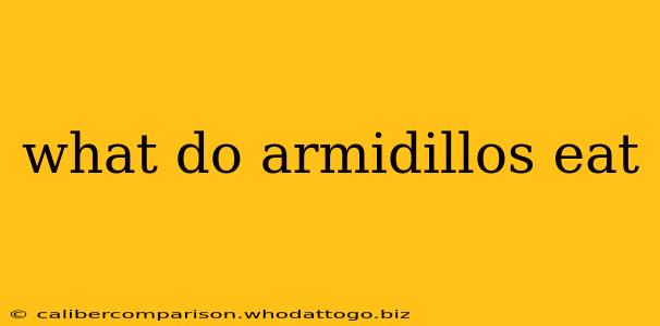 what do armidillos eat