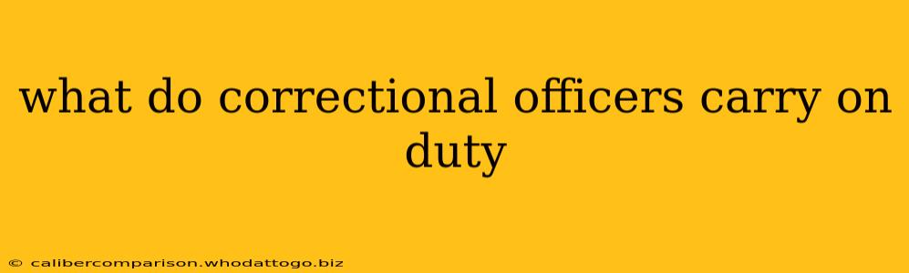 what do correctional officers carry on duty