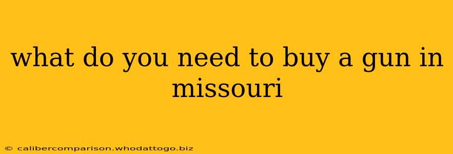 what do you need to buy a gun in missouri