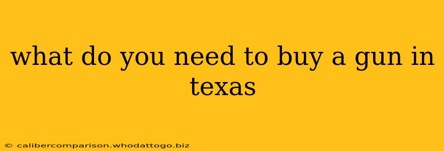 what do you need to buy a gun in texas