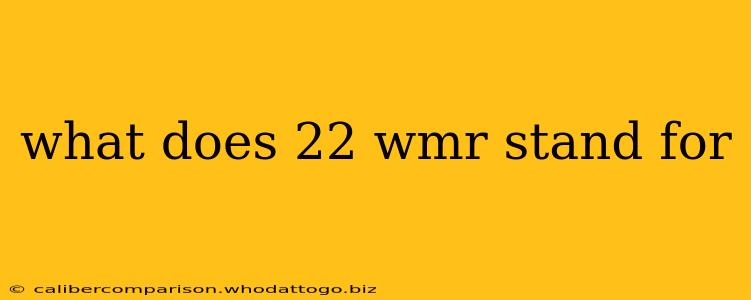 what does 22 wmr stand for