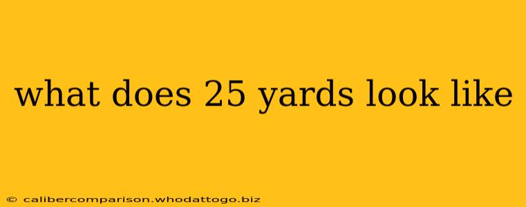 what does 25 yards look like