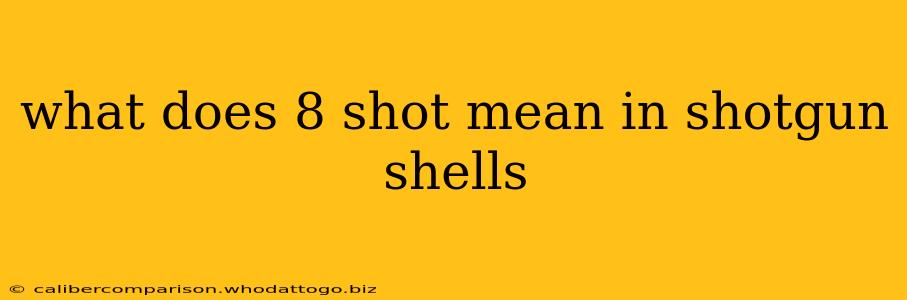 what does 8 shot mean in shotgun shells