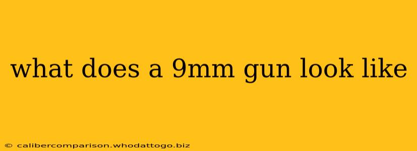 what does a 9mm gun look like