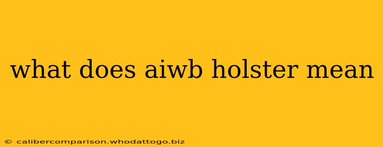 what does aiwb holster mean