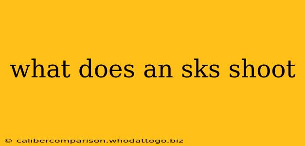 what does an sks shoot