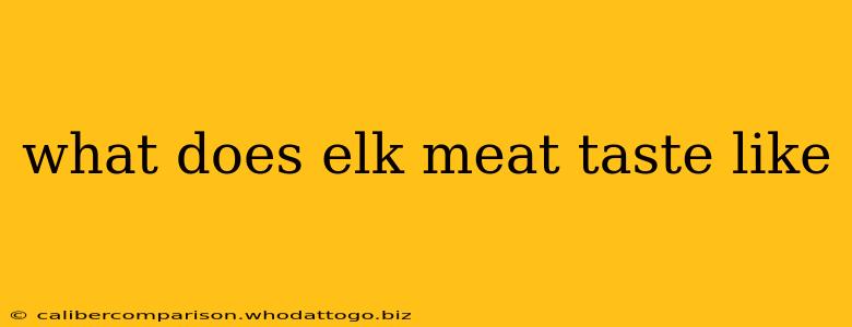 what does elk meat taste like