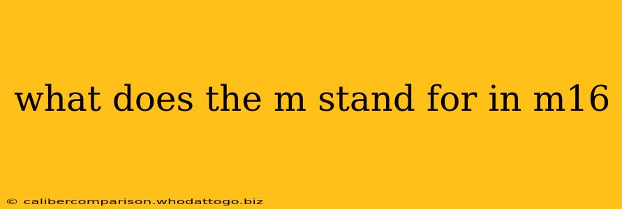 what does the m stand for in m16