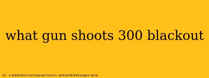 what gun shoots 300 blackout