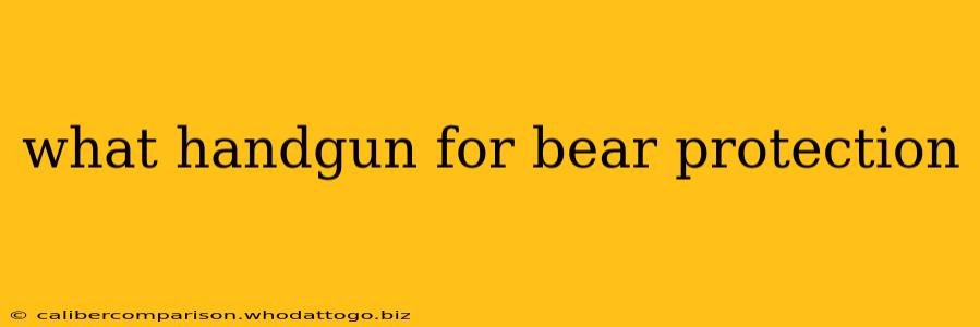 what handgun for bear protection