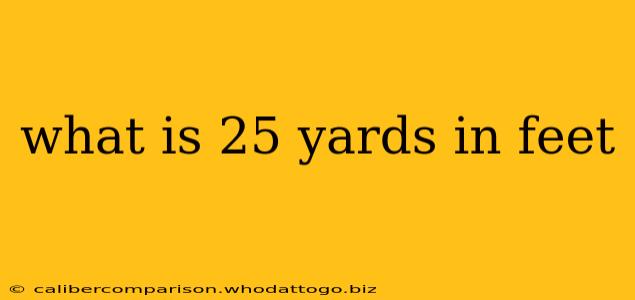 what is 25 yards in feet