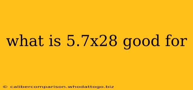 what is 5.7x28 good for