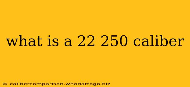 what is a 22 250 caliber