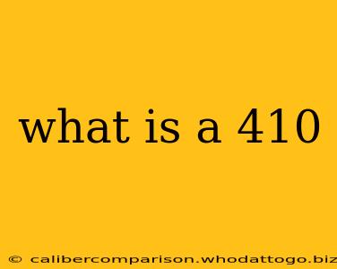 what is a 410