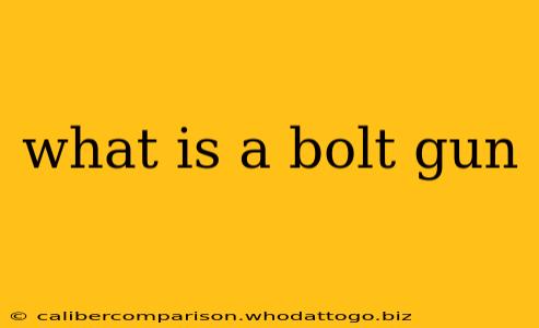 what is a bolt gun