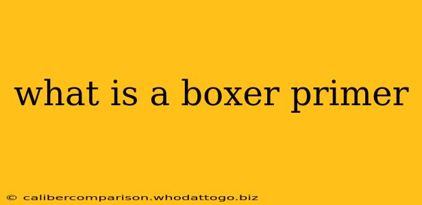 what is a boxer primer