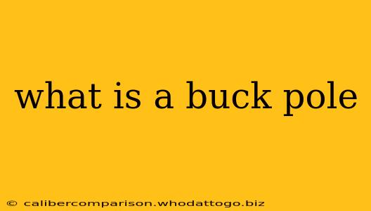 what is a buck pole